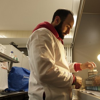 gallery_10.jpg gallery_10.jpg