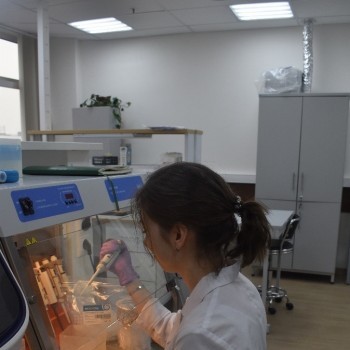 gallery_15.jpg gallery_15.jpg