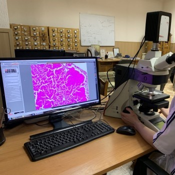 gallery_12.jpg gallery_12.jpg