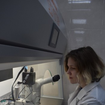 gallery_19.jpg gallery_19.jpg