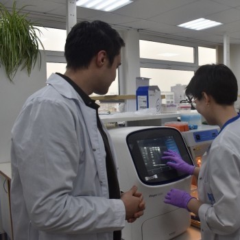 gallery_18.jpg gallery_18.jpg