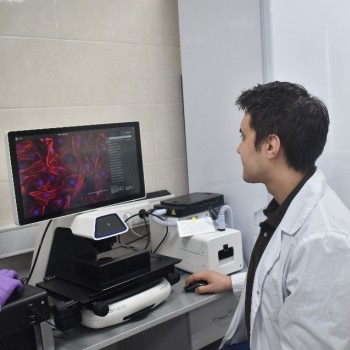 gallery_20.jpg gallery_20.jpg