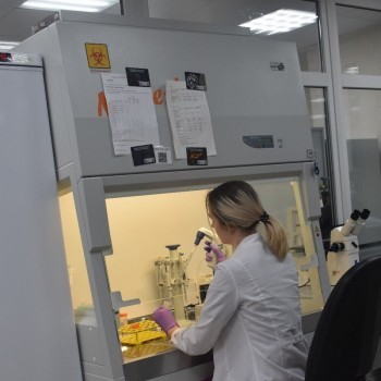 gallery_22.jpg gallery_22.jpg