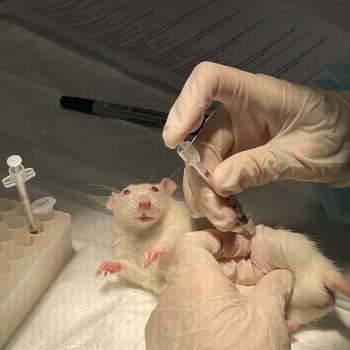 gallery_23.jpg gallery_23.jpg